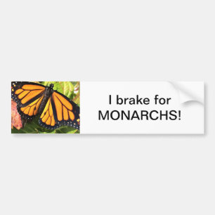 Monarch Butterfly - Bumper Sticker