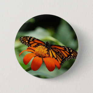 Monarch Butterfly Button