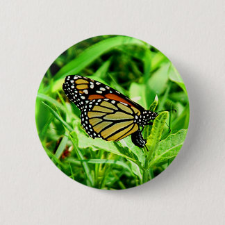 Monarch Butterfly Button