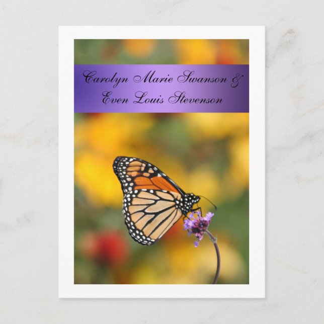 Monarch Butterfly Card (Front)