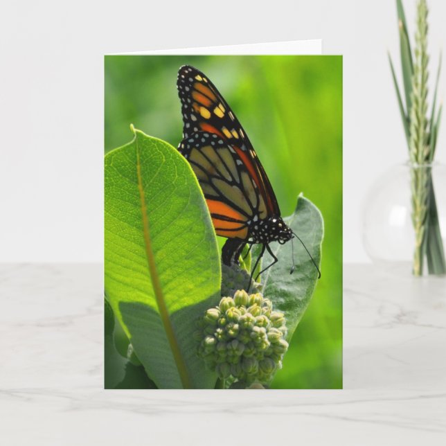 Monarch butterfly card (Front)