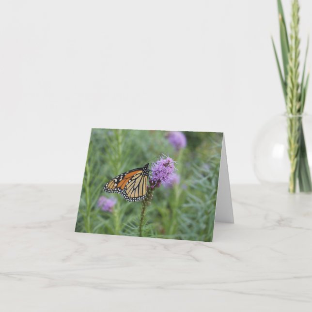 Monarch Butterfly Card (Front)