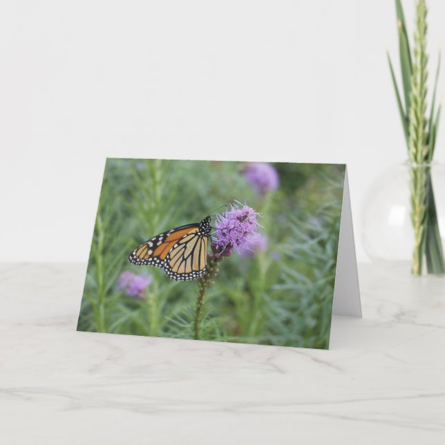 Monarch Butterfly Card (Front)