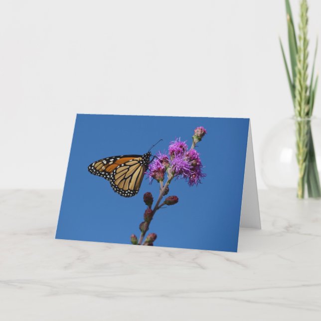 Monarch butterfly card (Front)