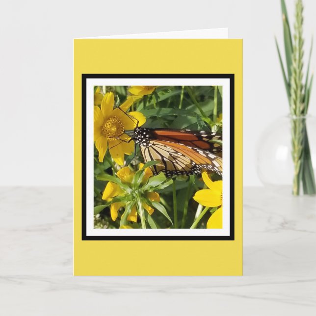 MONARCH BUTTERFLY - CARTE D'ANNIVERSAIRE (Devant)