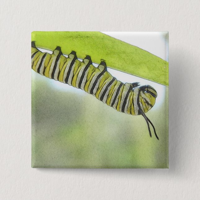 Monarch Butterfly Caterpillar Exploring A Milkweed 2 Inch Square Button (Front)