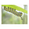 Monarch Butterfly Caterpillar Exploring A Milkweed