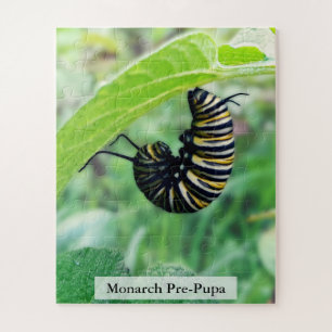 Monarch Butterfly Caterpillar Pre-Pupa Stage 56Pcs Jigsaw Puzzle
