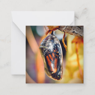 Monarch Butterfly Chrysalis mini notecards