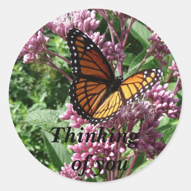 Monarch Butterfly Classic Round Sticker (Front)