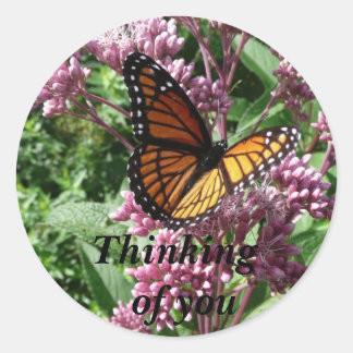 Monarch Butterfly Classic Round Sticker