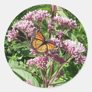Monarch Butterfly Classic Round Sticker