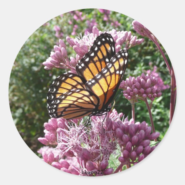 Monarch Butterfly Classic Round Sticker (Front)