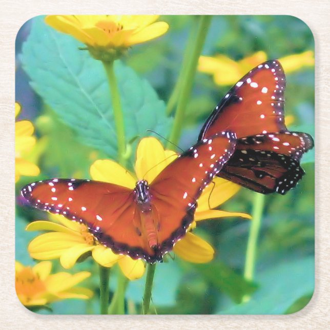 Monarch Butterfly - Coaster (Front)