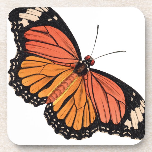 Monarch Butterfly Coaster (Front)
