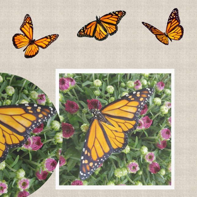 Monarch Butterfly Colourful Garden Floral Napkin (Creator Uploaded)