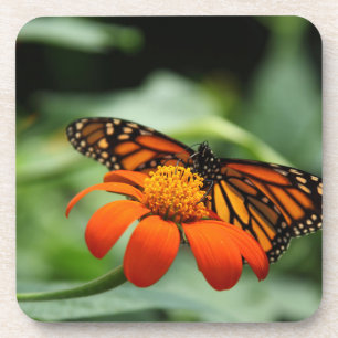 Monarch Butterfly Cork Coasters