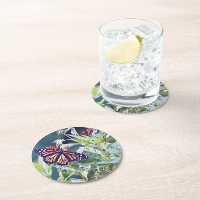 Monarch Butterfly custom party coasters (Insitu)