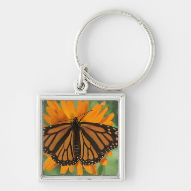 Monarch butterfly (Danaus plexippus) on pot Keychain (Front)