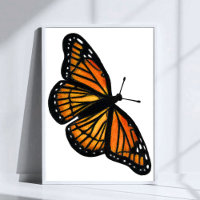 Monarch Butterfly Drawing Coloured Pencil Art