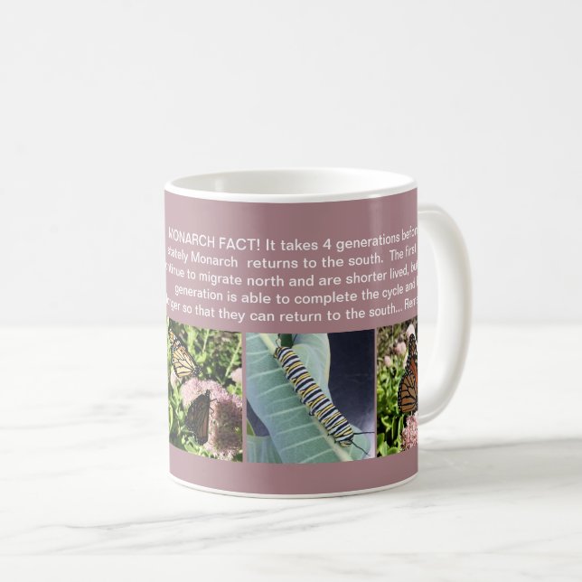 MONARCH BUTTERFLY FACT MUG (Front Right)