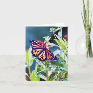 Monarch Butterfly Folded Note Card