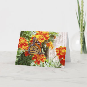 "Monarch Butterfly" Get Well Card #1
