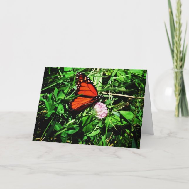 "Monarch Butterfly" Get Well Card #2 (Front)