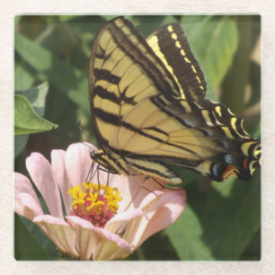 Monarch Butterfly Glass Coaster