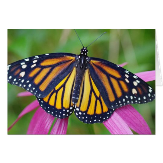 Monarch Butterfly Greeting Card