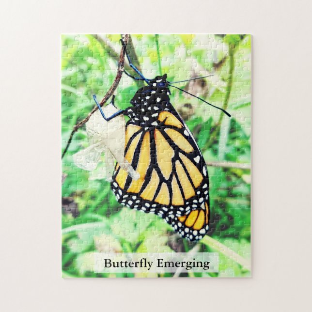 Monarch Butterfly Hatching 252Pcs Jigsaw Puzzle (Vertical)