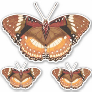 Monarch Butterfly in Brown, Rust and Cream