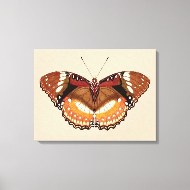 Monarch Butterfly in Brown, Rust and Cream Canvas Print (Front)