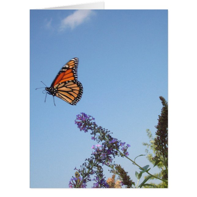 Monarch butterfly in flight BIG card (Front)