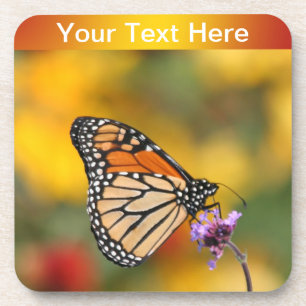 Monarch Butterfly In Search of Pollen Coaster