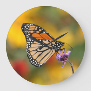 Monarch Butterfly In Search of Pollen Large Clock