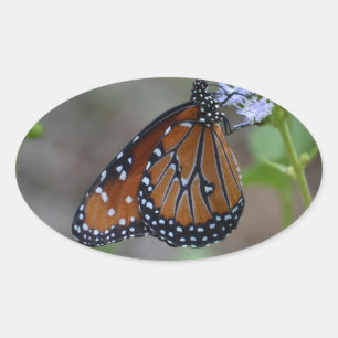 Monarch Butterfly in the butterfly series by LellO Oval Sticker