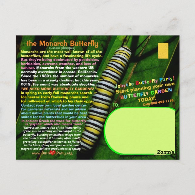 Monarch Butterfly is endangered, now here is a - Postcard (Back)