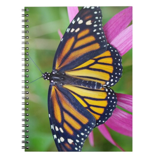 Monarch Butterfly Journal (Front)
