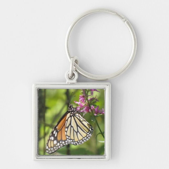 Monarch Butterfly keychain (Front)