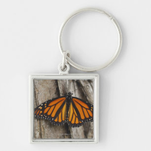 Monarch Butterfly Keychain