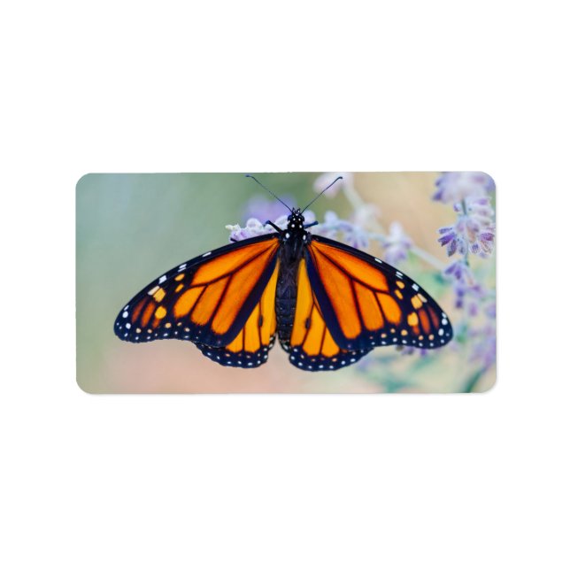 Monarch Butterfly Label (Front)