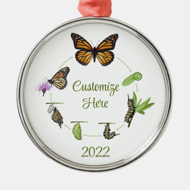 Monarch butterfly life cycle metal ornament (Front)