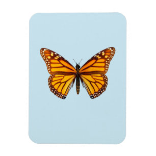 Monarch Butterfly Magnet