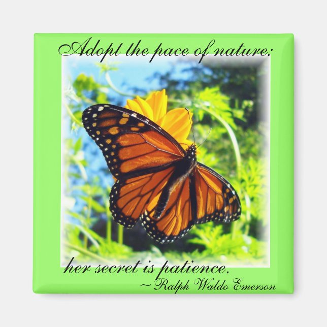 Monarch Butterfly Magnet (Front)