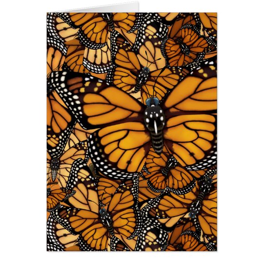 Monarch Butterfly Migration Card