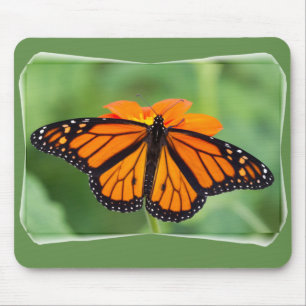 Monarch Butterfly Mouse Pad