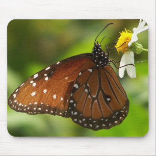 Monarch Butterfly Mouse Pad