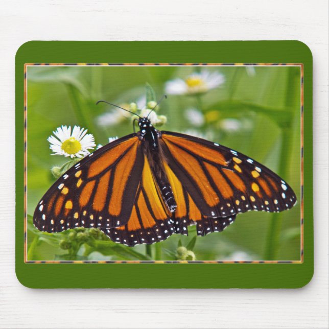 Monarch Butterfly Mouse Pad (Front)