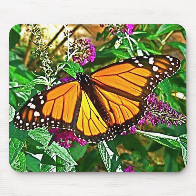 Monarch Butterfly Mouse Pad (Front)